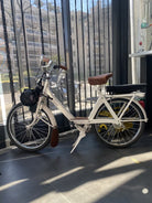 Solex 3800 électrique beige Noil × Bymoss — vue complète